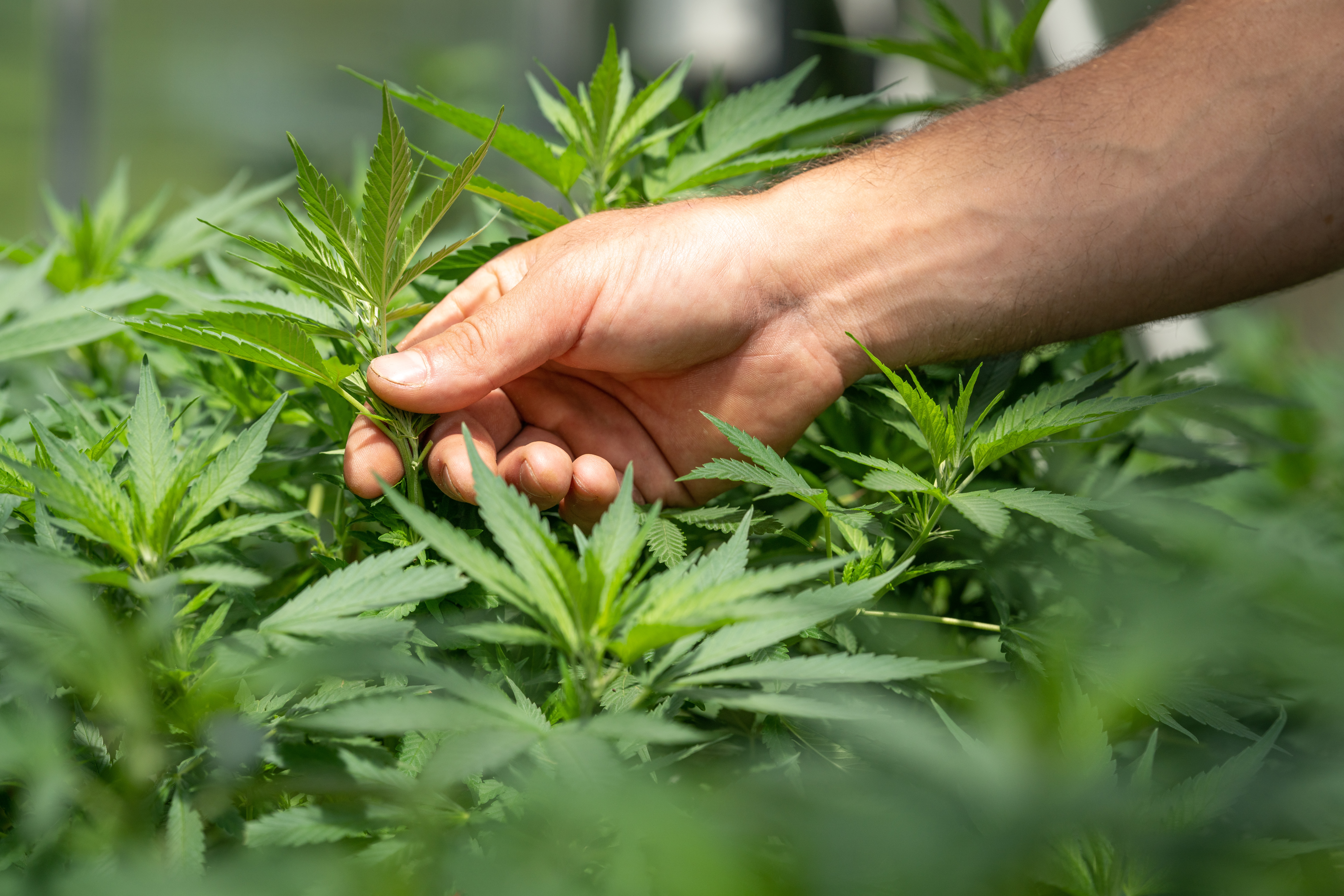 nuEra