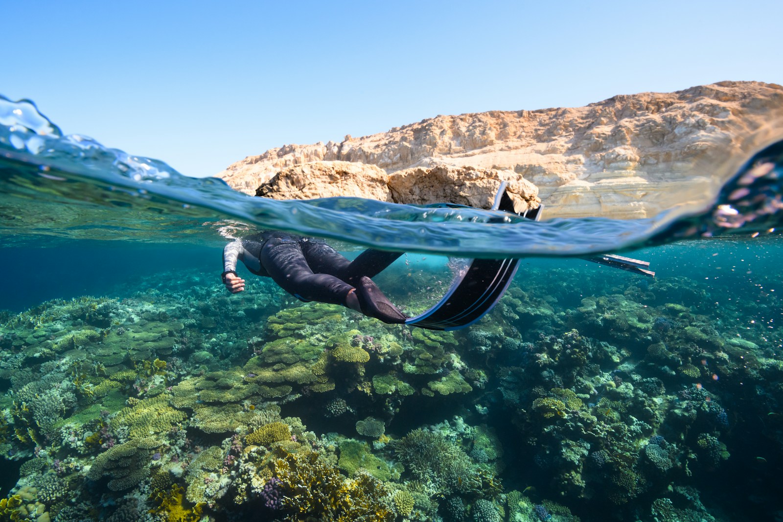 a person swimming in the ocean with a mountain in the background